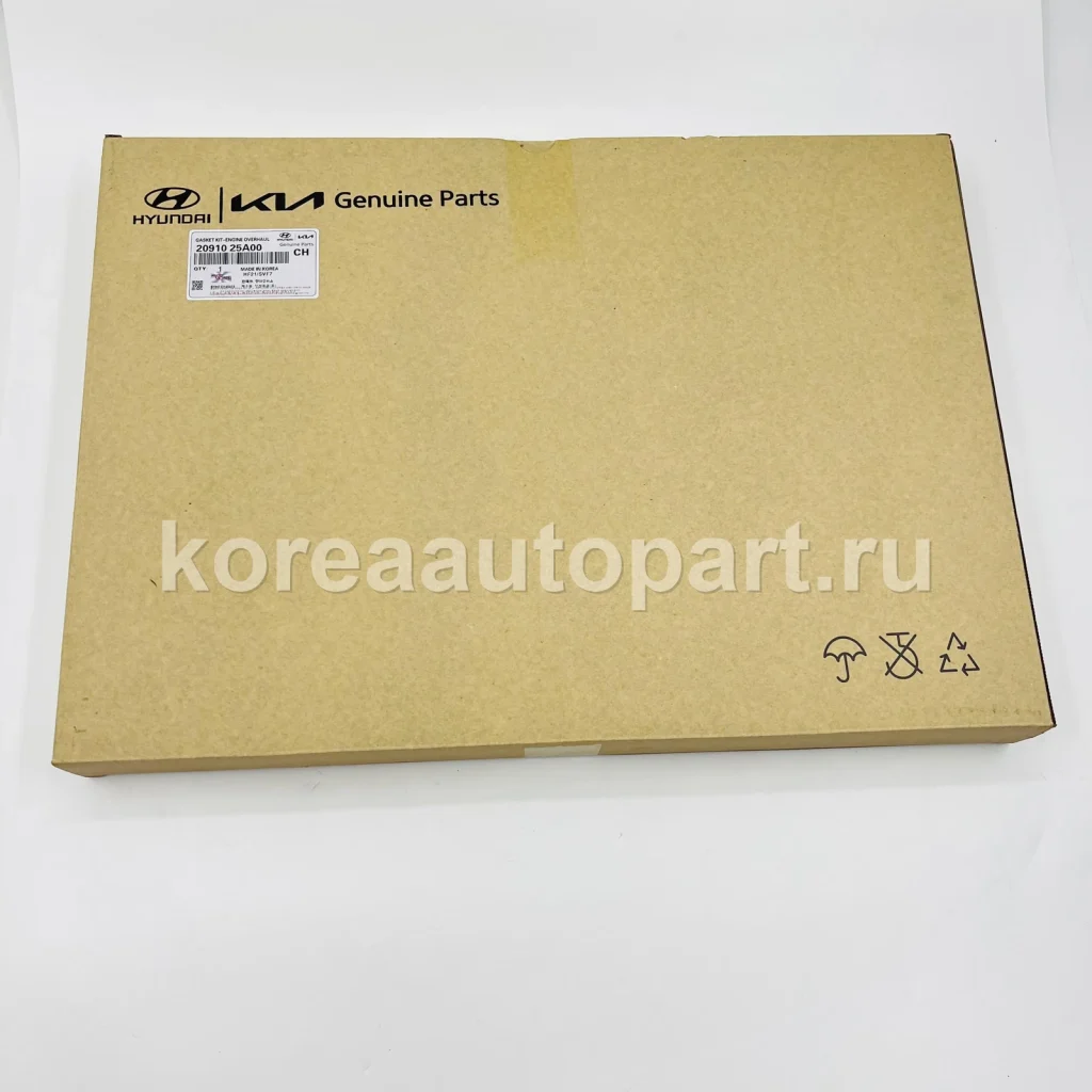 Engine Overhaul Gasket Kit / Top End Gasket Kit – OE 20910-25A00