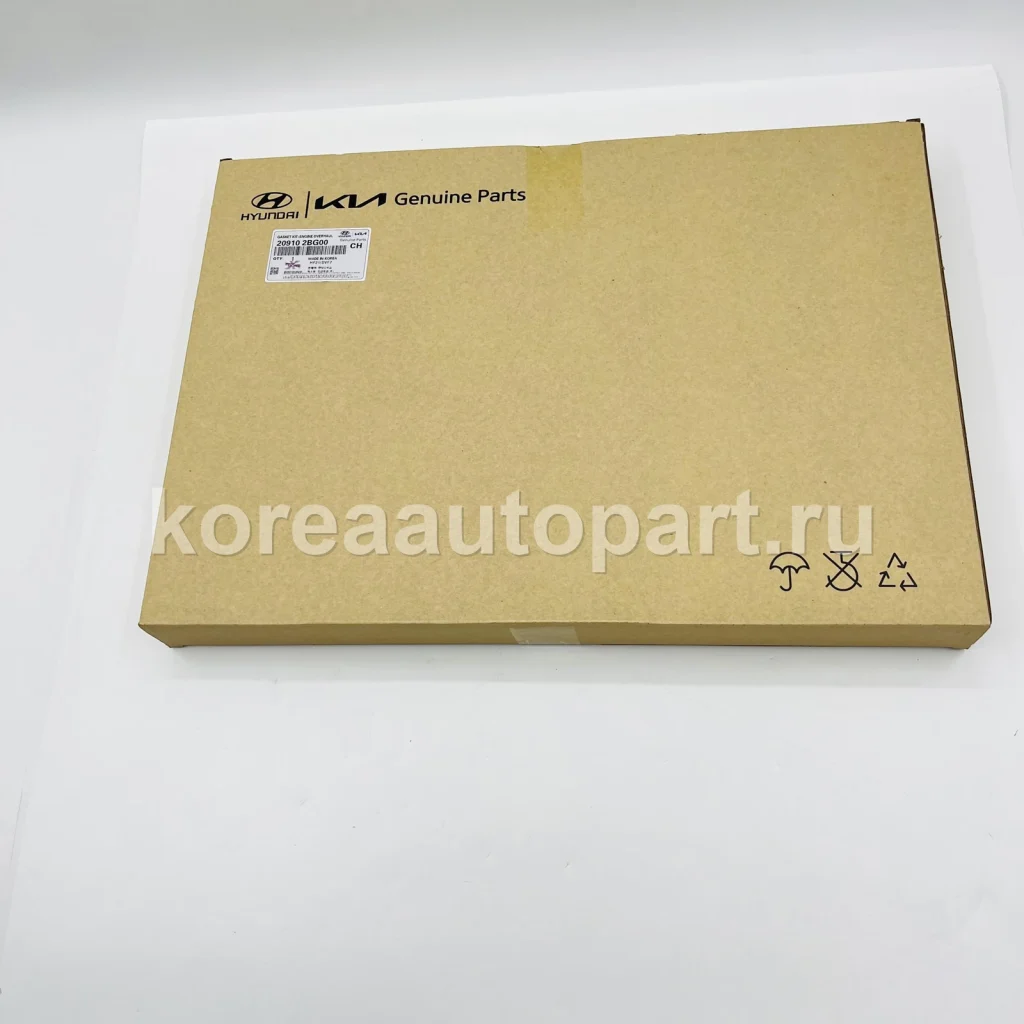 Engine Overhaul Gasket Kit / Top End Gasket Kit – OE 20910-2BG00