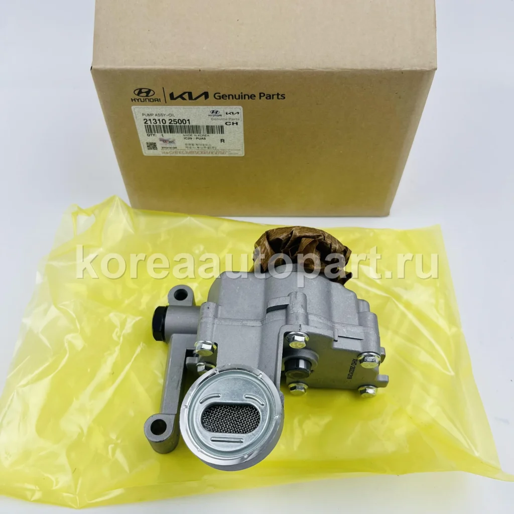 Oil Pump / Oil Pump Chain / Oil Strainer – OE 21310-25001