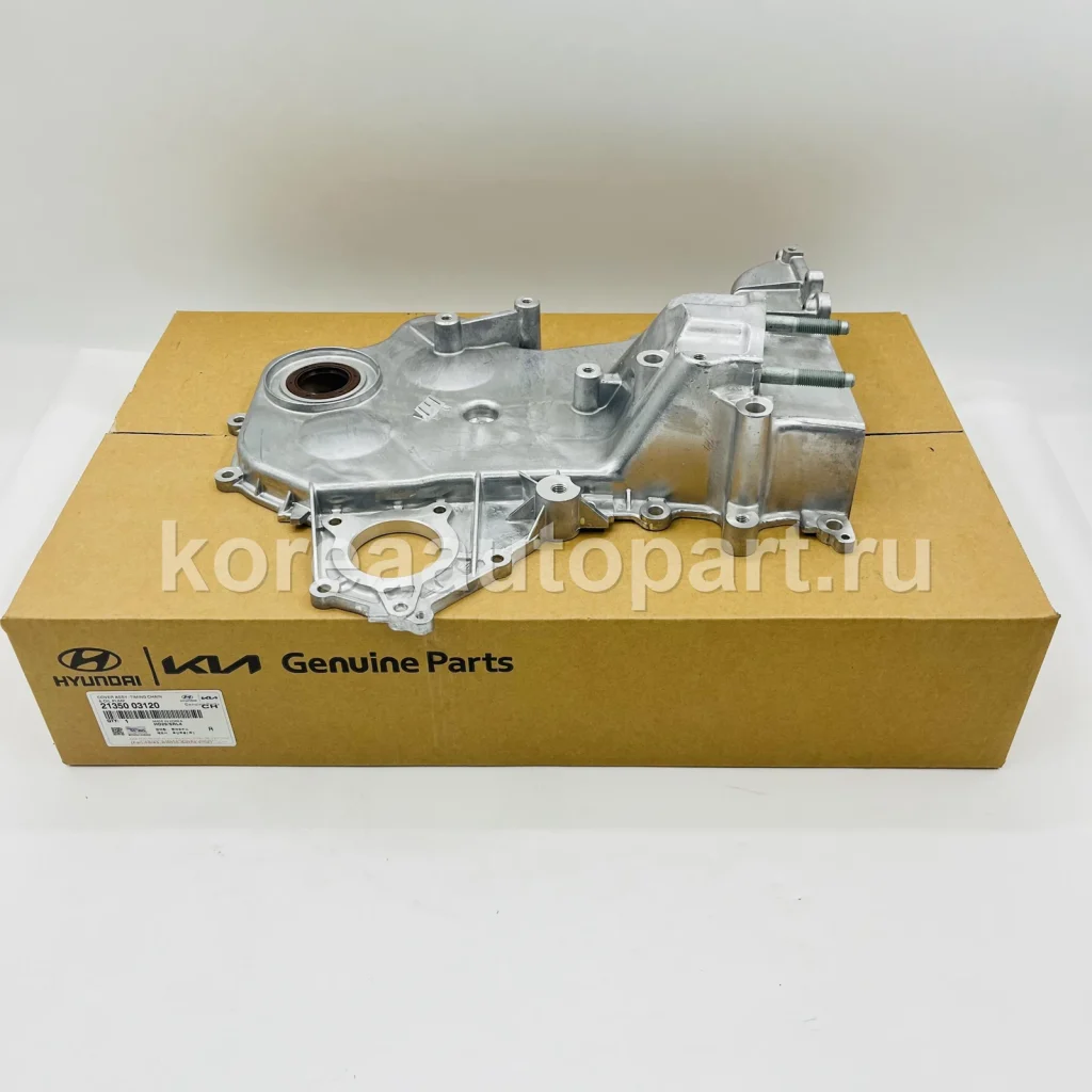 Oil Pump / Oil Pump Chain / Oil Strainer – OE 21350-03120