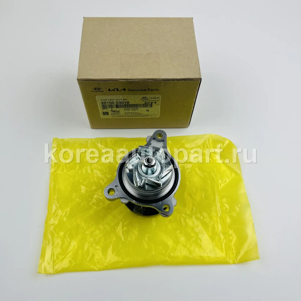 Water Pump / Water Pump Gasket / Pump Pulley – OE 25100-03010