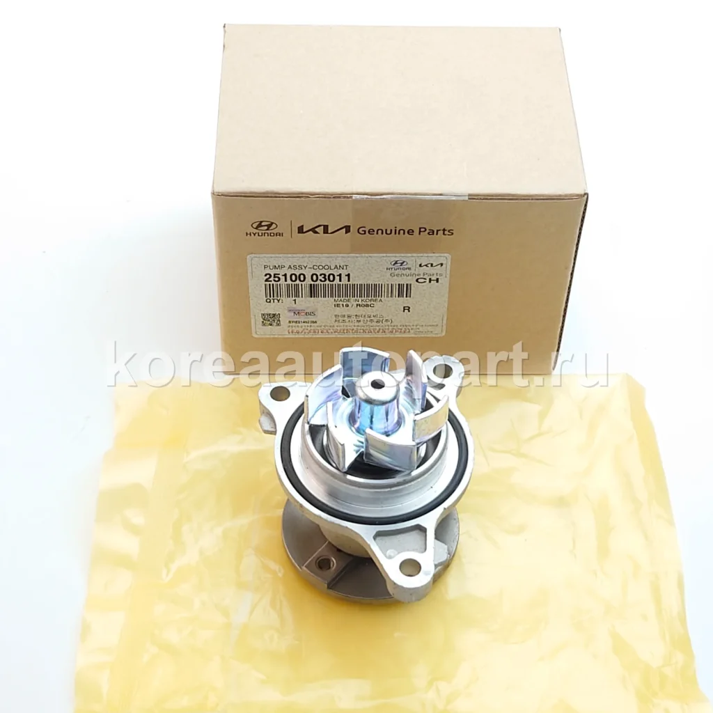 Water Pump / Water Pump Gasket / Pump Pulley – OE 25100-03011