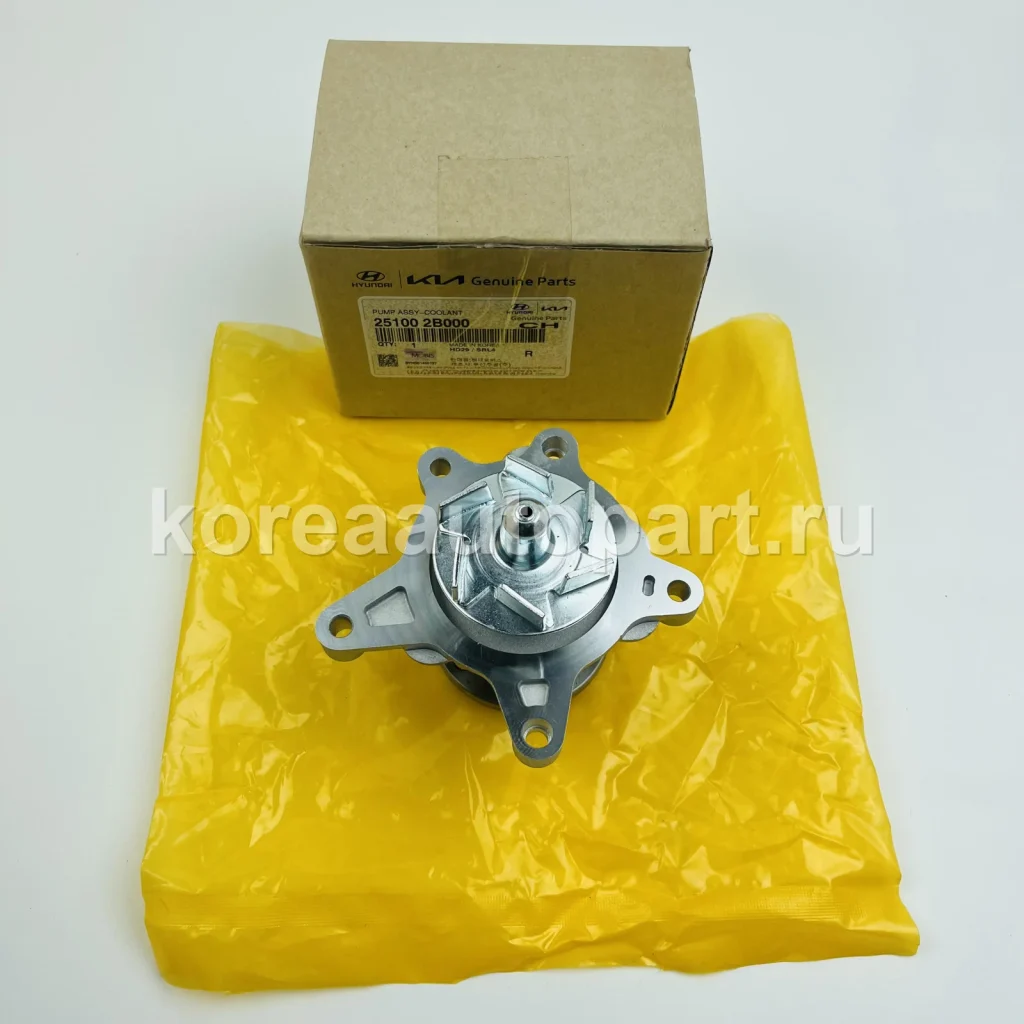 Water Pump / Water Pump Gasket / Pump Pulley – OE 25100-2B000