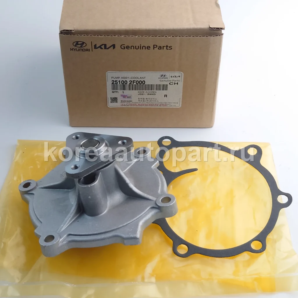 Water Pump / Water Pump Gasket / Pump Pulley – OE 25100-2F000