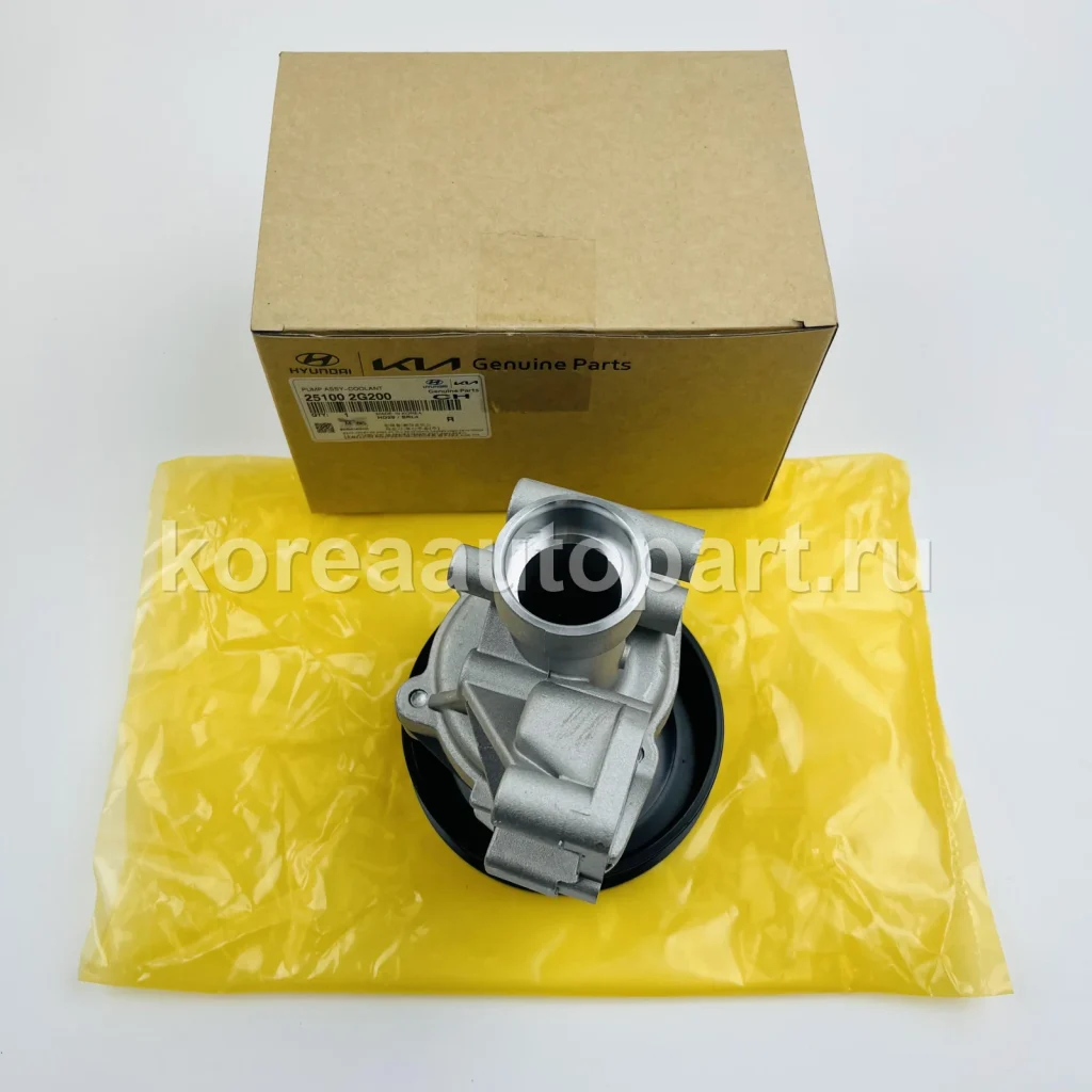 Water Pump / Water Pump Gasket / Pump Pulley – OE 25100-2G200