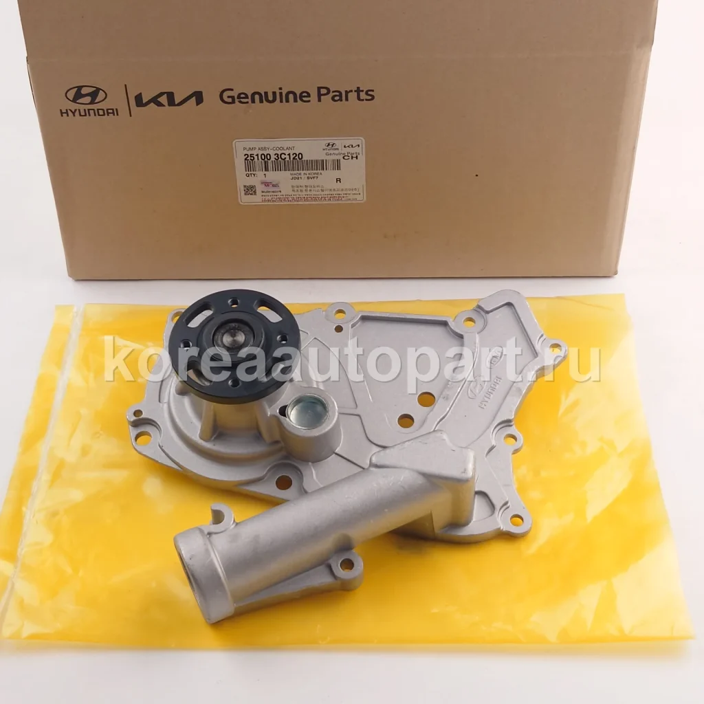 Water Pump / Water Pump Gasket / Pump Pulley – OE 25100-3C120