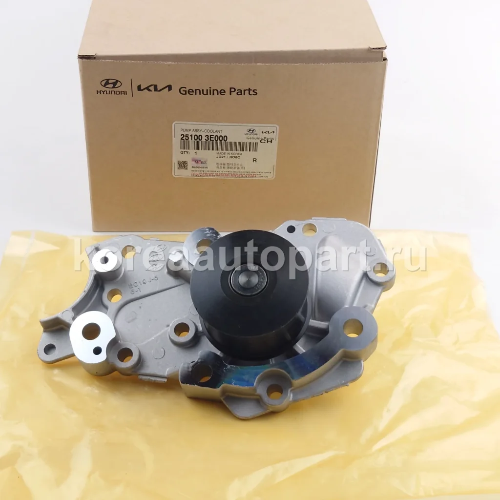 Water Pump / Water Pump Gasket / Pump Pulley – OE 25100-3E000