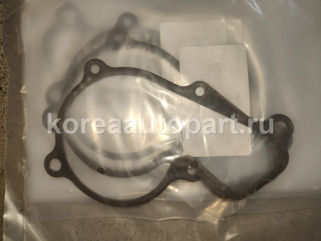 Water Pump / Water Pump Gasket / Pump Pulley – OE 25124-2E000
