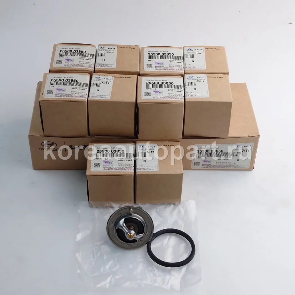 Thermostat / Thermostat Housing – OE 25500-03850