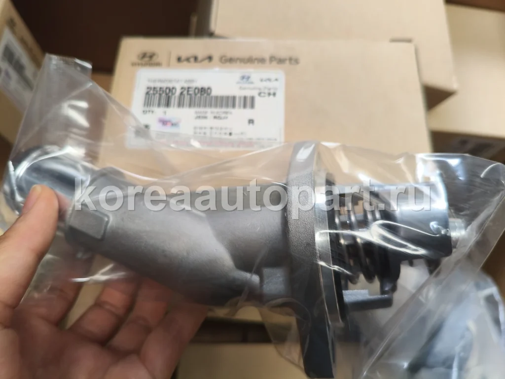 Thermostat / Thermostat Housing – OE 25500-2E080