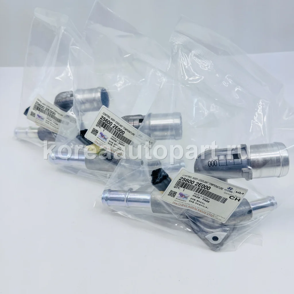 Thermostat / Thermostat Housing – OE 25600-2E000