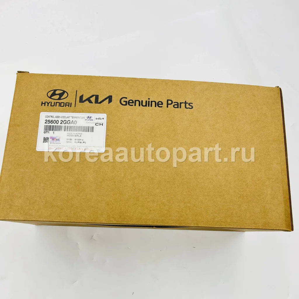 Thermostat / Thermostat Housing – OE 25600-2GGA0