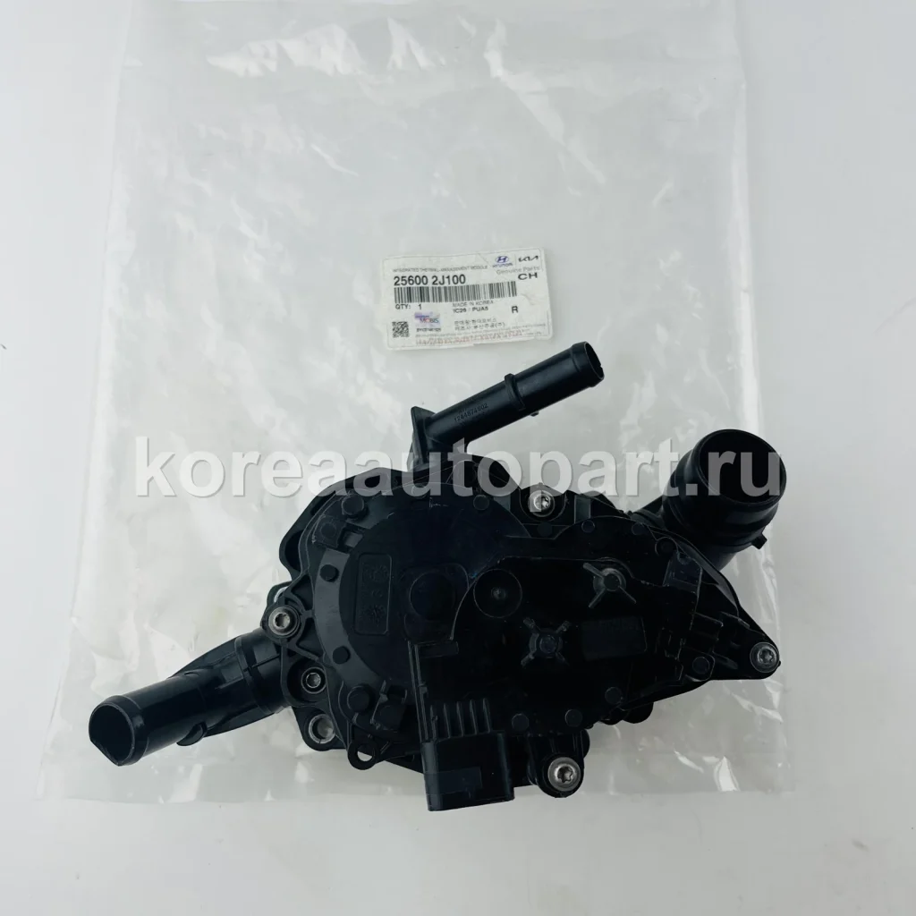 Thermostat / Thermostat Housing – OE 25600-2J100