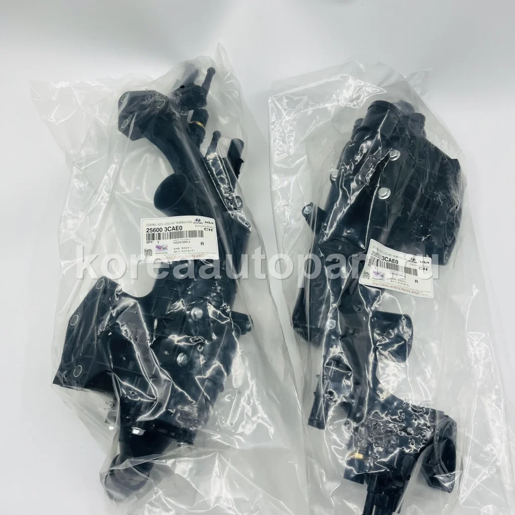 Thermostat / Thermostat Housing – OE 25600-3CAE0