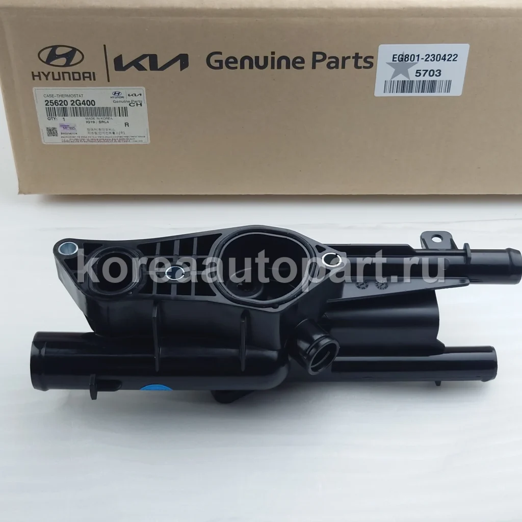 Thermostat / Thermostat Housing – OE 25620-2G400