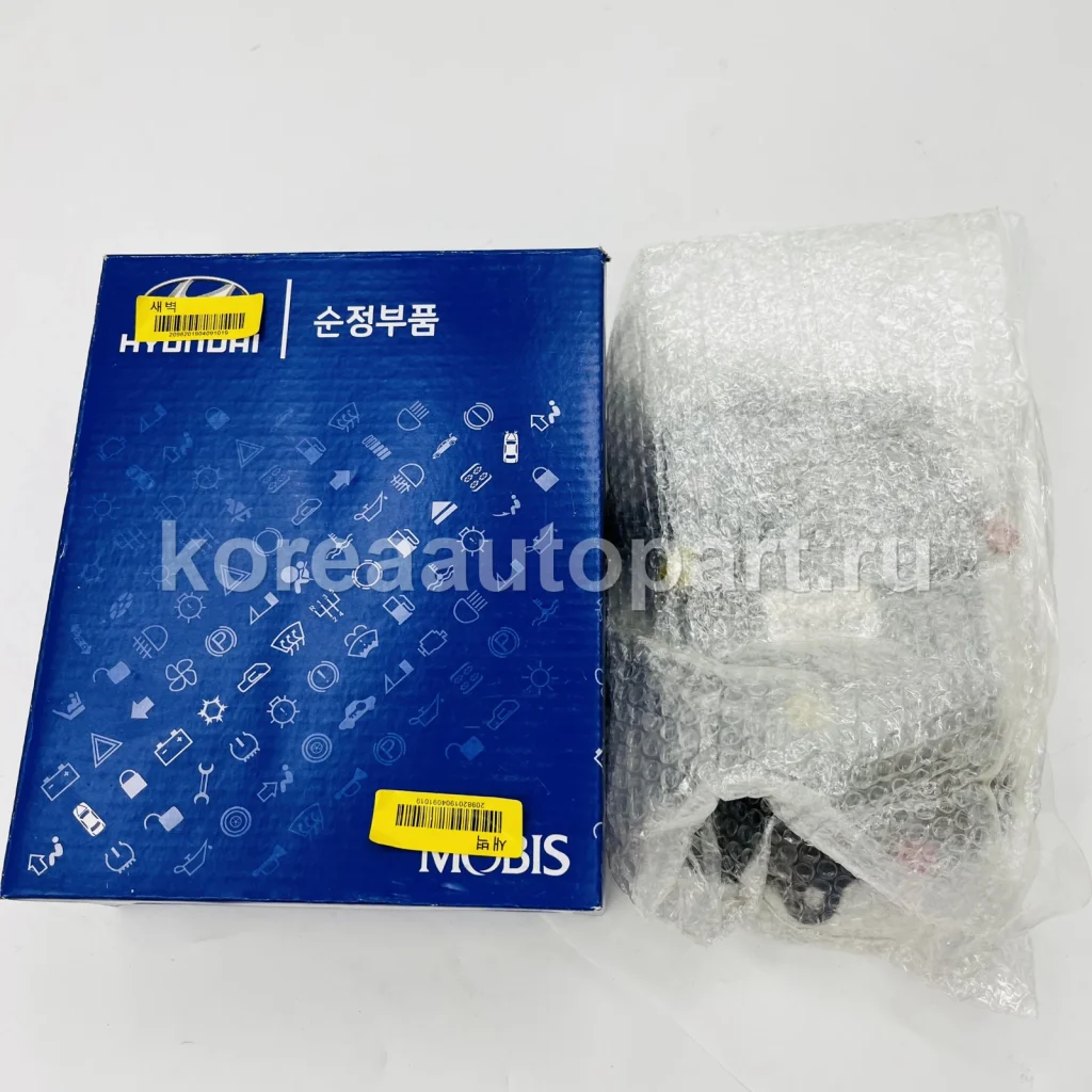 Thermostat / Thermostat Housing – OE 25620-4R000