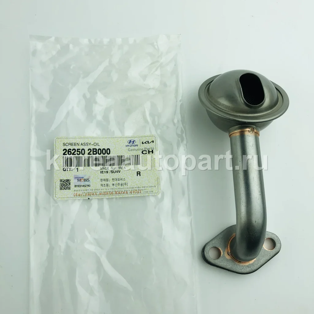 Oil Pump / Oil Pump Chain / Oil Strainer – OE 26250-2B000