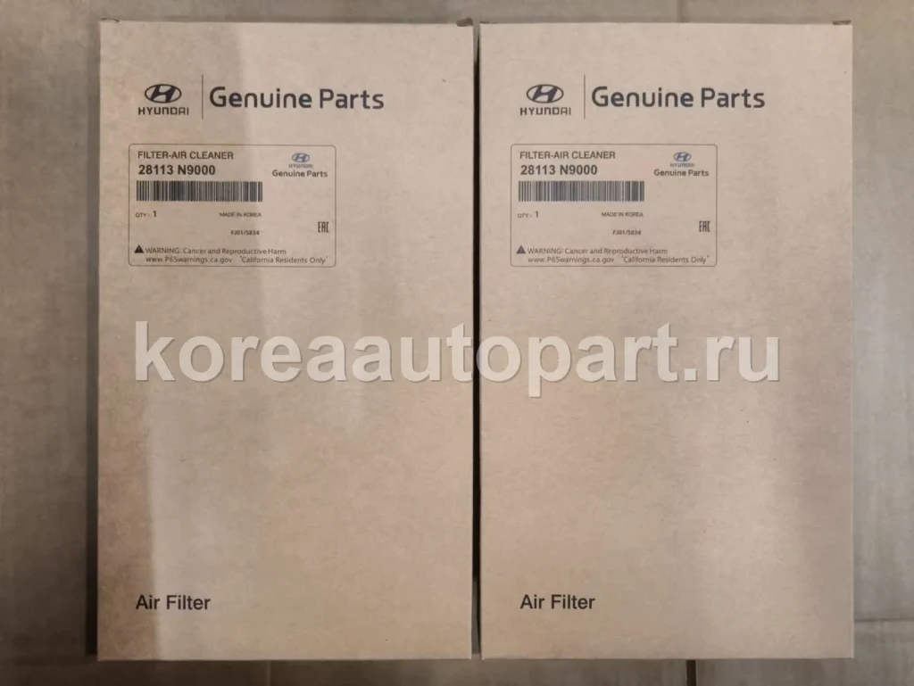 Engine Air Filter – OE 28113-N9000