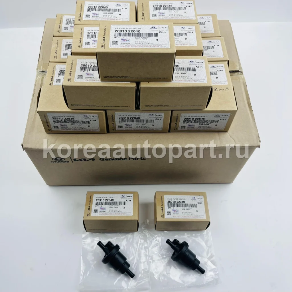 EGR Valve / PCV Valve / Canister Solenoid / Turbocharger – OE 28910-22040