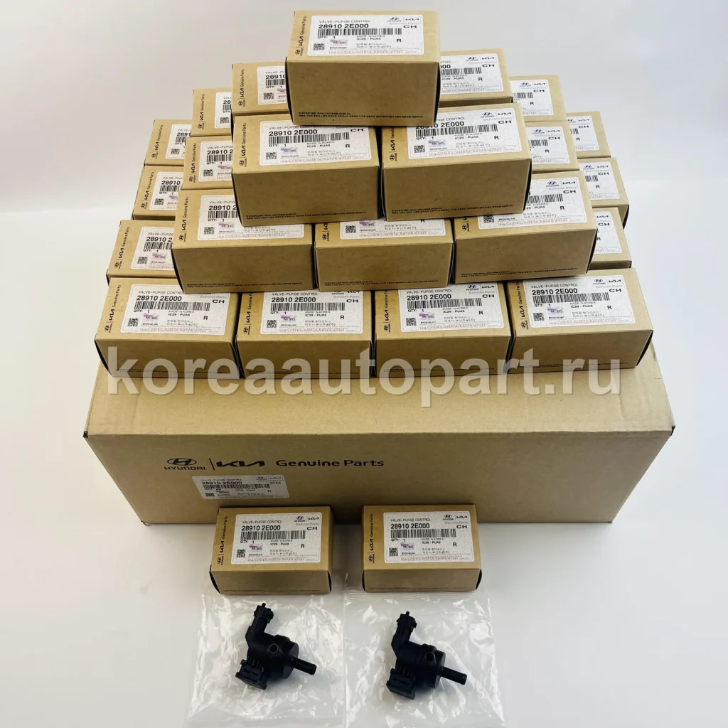 EGR Valve / PCV Valve / Canister Solenoid / Turbocharger – OE 28910-2E000