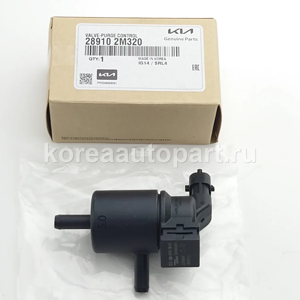 EGR Valve / PCV Valve / Canister Solenoid / Turbocharger – OE 28910-2M320