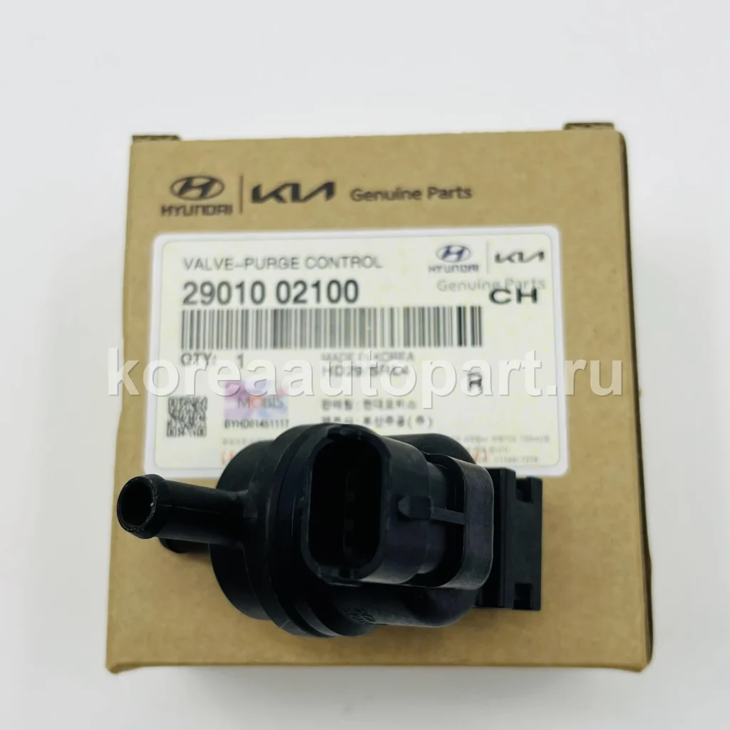 EGR Valve / PCV Valve / Canister Solenoid / Turbocharger – OE 29010-02100