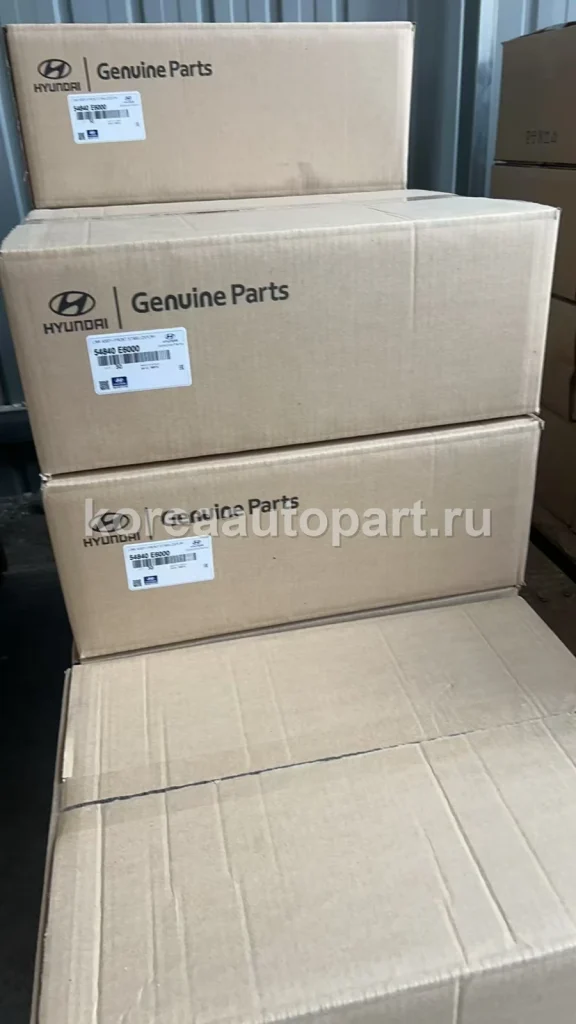 Right Stabilizer Link – OE 54840-E6000
